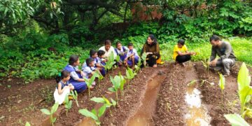 Kudli students learned about wild vegetables