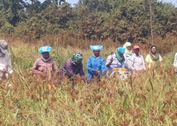 Kharip Crop Competition Result