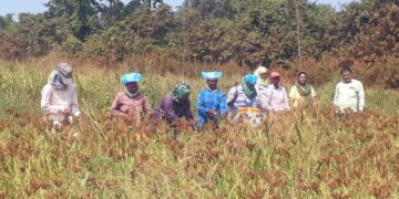 Kharip Crop Competition Result