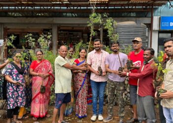 Distribution of 7000 trees in Aabloli