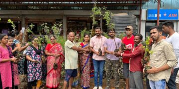 Distribution of 7000 trees in Aabloli