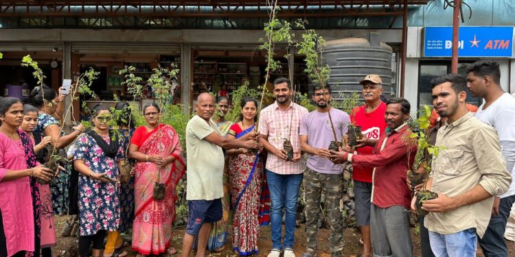Distribution of 7000 trees in Aabloli