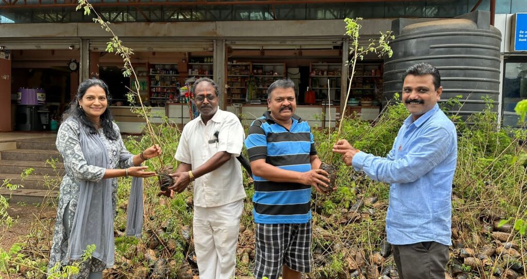 Distribution of 7000 trees in Aabloli