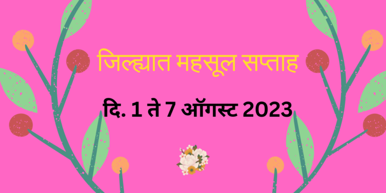 Revenue week in the district