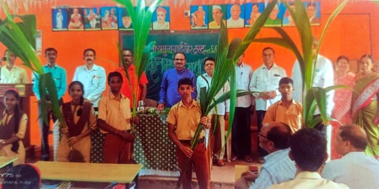 Distribution of coconut saplings at Nevare