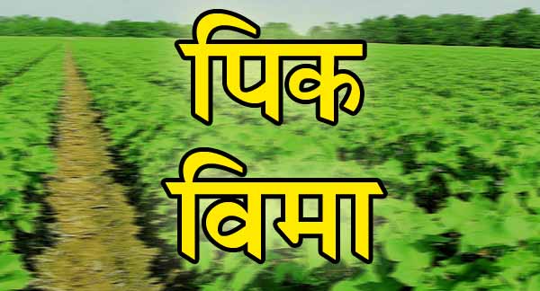 Extension of three days for payment of crop insurance
