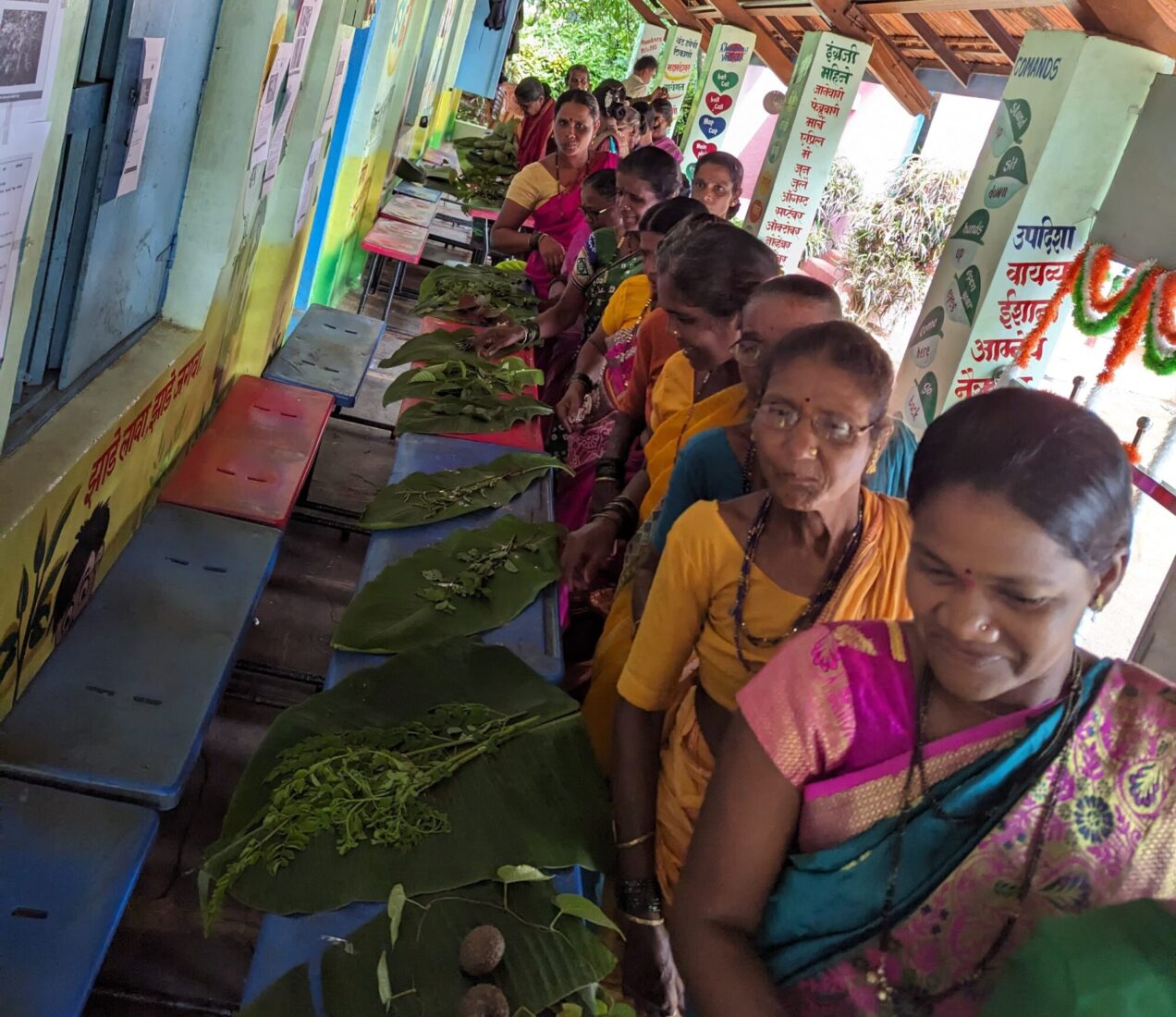 "Wild Vegetable Exhibition" at Sheer