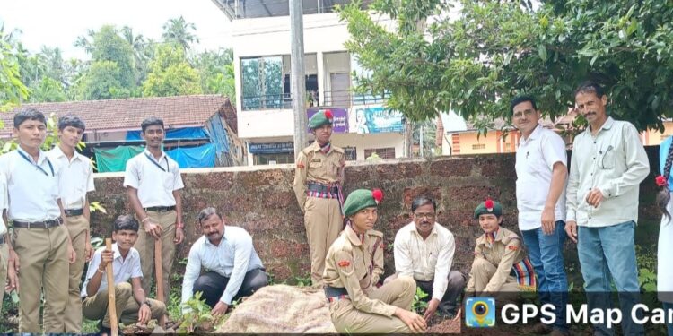 Plantation on International Ozone Day