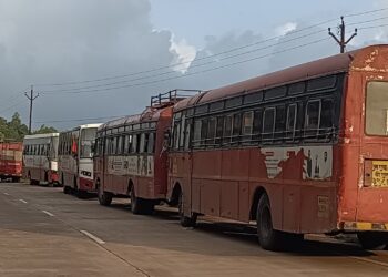 Good planning of Guhagar Agar for Ganeshotsav