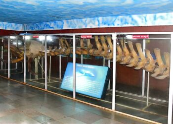 रत्नागिरीतील मत्स्यालय पाहाण्याजोगे