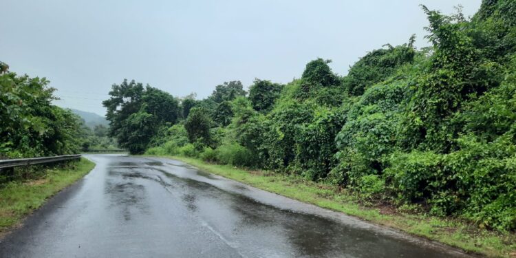 Heavy rain in Guhagar