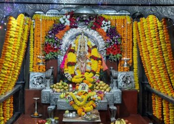 Aaras of mangoes on the first day at Durga Devi