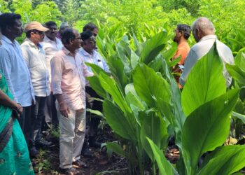 Visit to Turmeric Cultivation by Agriculture Department