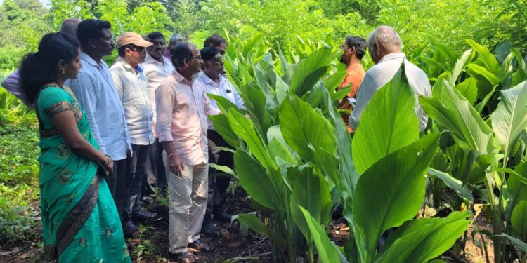 Visit to Turmeric Cultivation by Agriculture Department