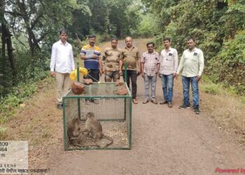 When will farmers get justice regarding nuisance wildlife?