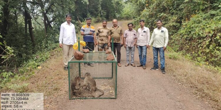 When will farmers get justice regarding nuisance wildlife?