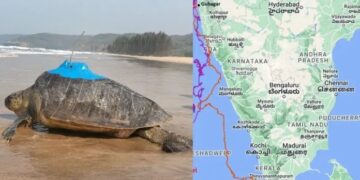 Journey to Bageshree and Guha