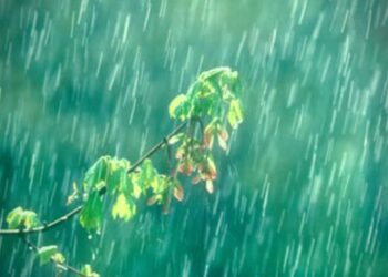 Chance of rain in the state from today