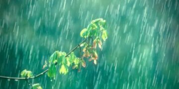 Chance of rain in the state from today