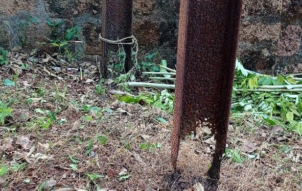 Mahavitran neglect of rusty poles