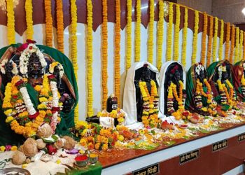 Devdiwali at Guhagar Bhairi Vyaghrabari Temple