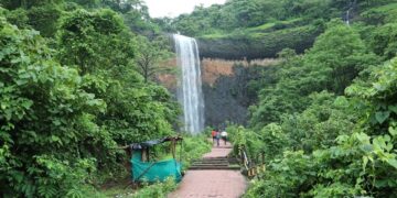 Suspicious dead bodies near Savatsada Falls