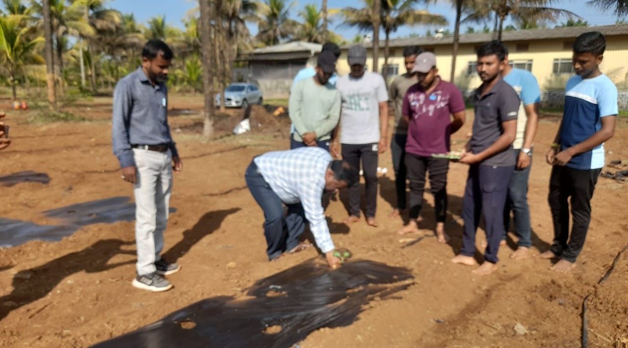 Organic Farming Project at Kharvate-Dahivali