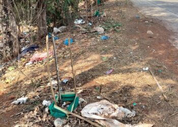Plants withered due to lack of water
