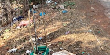 Plants withered due to lack of water