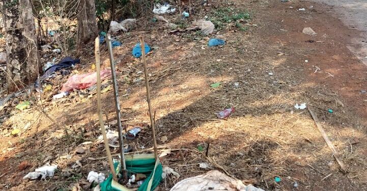 Plants withered due to lack of water