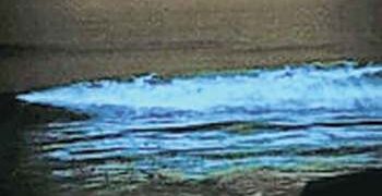 Jeevdeepti Observation started in Dabhol Bay