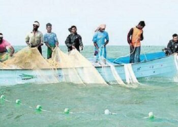 Threat to fishing business in the district