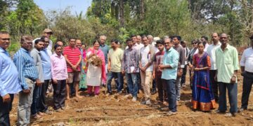 Turmeric Cultivation Training in Aabloli