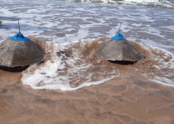 Olive Ridley turtle tagging report