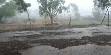 Unseasonal rain in Guhagar