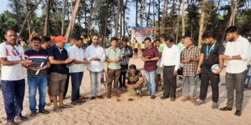 Beach Target Ball Championship