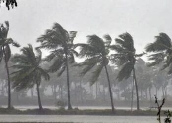 Monsoon has entered Kerala