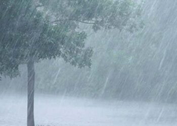 Monsoon will hit Andaman on 19 May