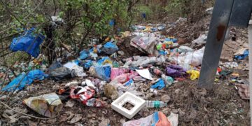 Unsanitary in Guhagar Cities