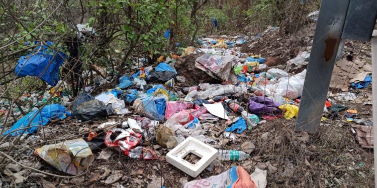 Unsanitary in Guhagar Cities