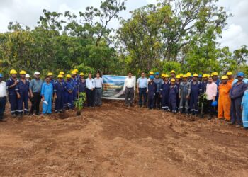 Tree plantation at Ratnagiri Gas Company