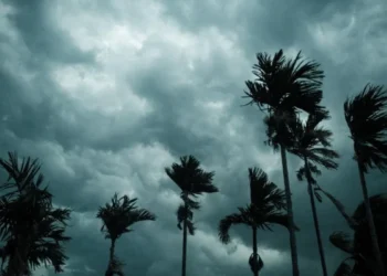 Monsoon will hit Maharashtra