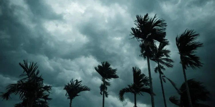 Monsoon will hit Maharashtra