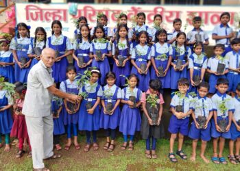 Distribution of tree saplings at Malan