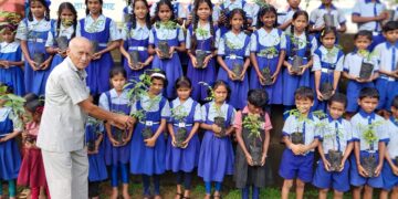 Distribution of tree saplings at Malan