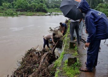 Highest rainfall in Guhagar taluk
