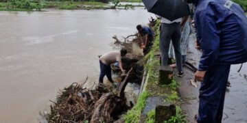 Highest rainfall in Guhagar taluk