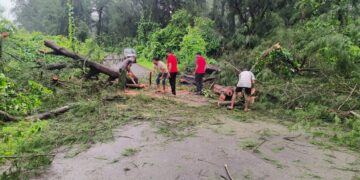 Old ferryboat shock repair demand