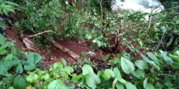 Landslide in Guhagar Sheer