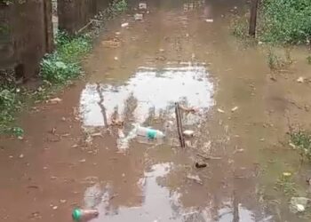 Creek water in populated areas